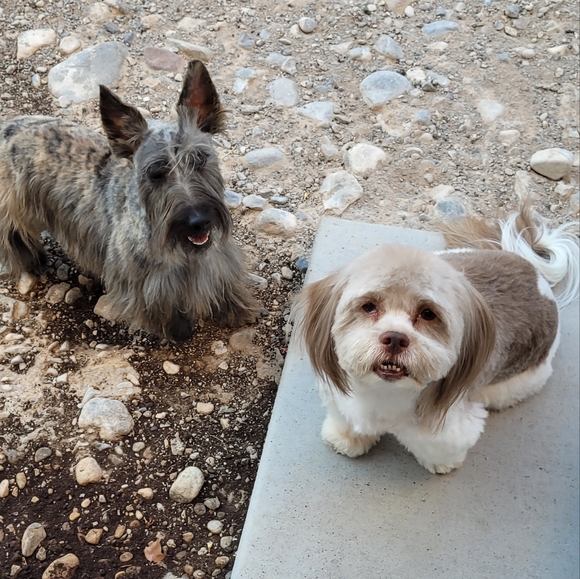 Lots of cute stuff!!😊😊 - Picture 9 of 12